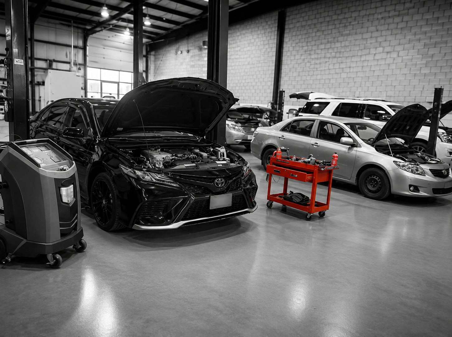 Expert Auto Repair Shop
