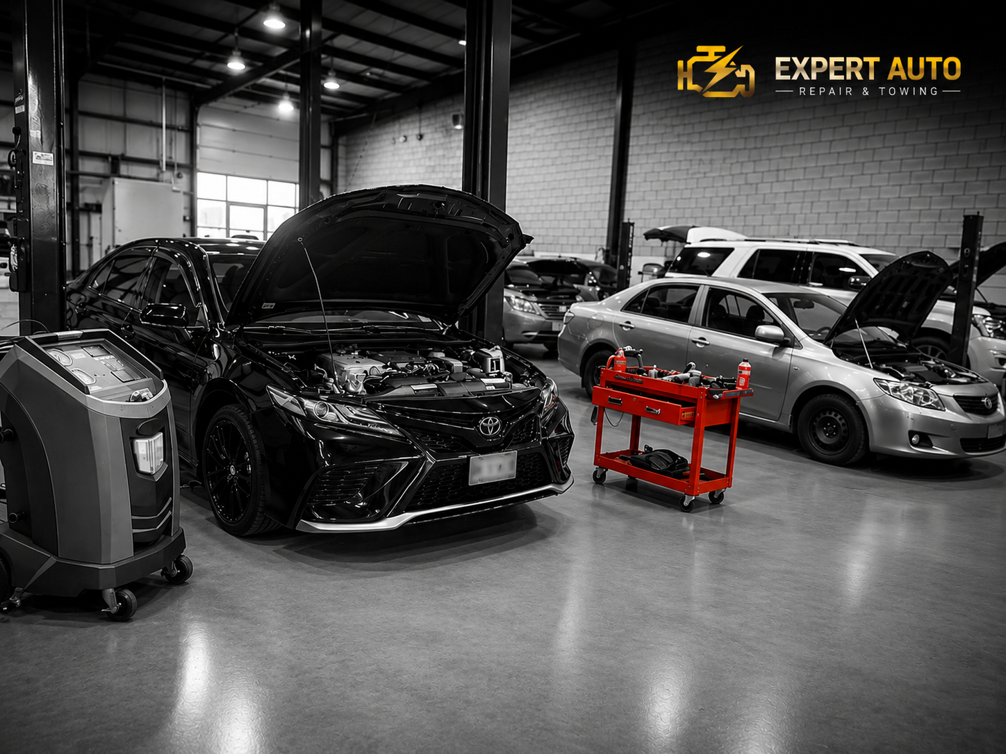 Engine Oil Service